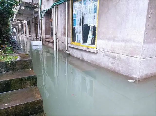 杭州发布洪水黄色预警 洪峰预计明早6点抵达闸口站插图12