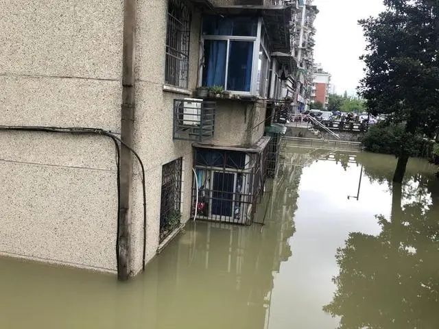 杭州发布洪水黄色预警 洪峰预计明早6点抵达闸口站插图4