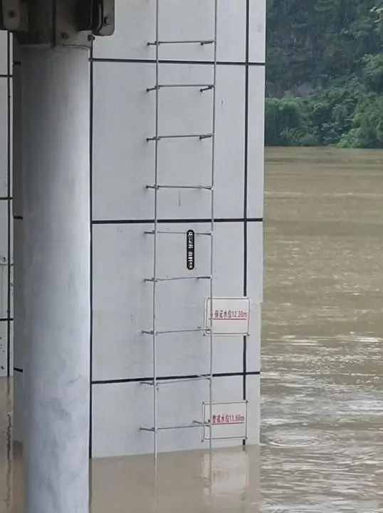 杭州发布洪水黄色预警 洪峰预计明早6点抵达闸口站插图11